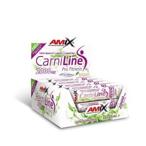 AMIX CarniLine ProFitness 2000, 10x25ml, Pineapple