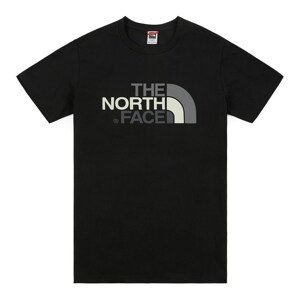 Pánské tričko The North Face 513822