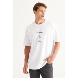 AC&Co / Altınyıldız Classics Pánské špinavě bílé tričko s dlouhým střihem slim fit s kulatým výstřihem 100% bavlna s potiskem.