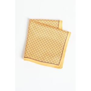 ALTINYILDIZ CLASSICS Men's Yellow Patterned Handkerchief