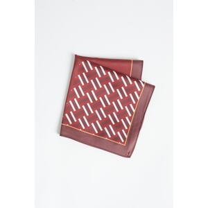 ALTINYILDIZ CLASSICS Men's Claret Red-Red Patterned Handkerchief