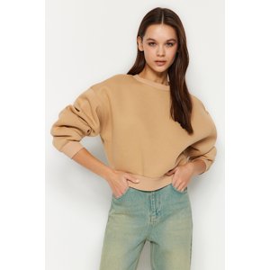 Trendyol Beige Comfort Fit Crop Basic Crew Neck Fleece Inside Knitted Sweatshirt