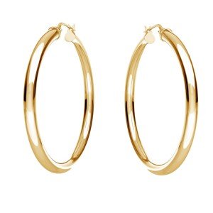 Giorre Woman's Earrings 36751