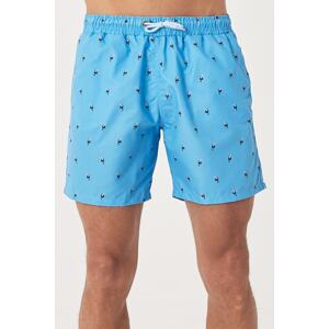 AC&Co / Altınyıldız Classics Men's Blue Standard Fit Casual Patterned Swimsuit Swim Shorts