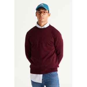 ALTINYILDIZ CLASSICS Men's Burgundy Standard Fit Normal Cut Crew Neck Knitwear Sweater
