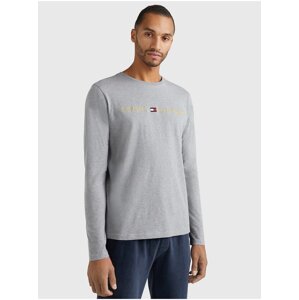 Pánské tričko Tommy Hilfiger DP-3468520