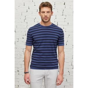 ALTINYILDIZ CLASSICS Men's Navy-Indigo Standard Fit Regular Fit Crew Neck Cotton Striped Knitwear T-Shirt