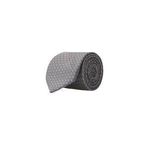 ALTINYILDIZ CLASSICS Men's Grey-Blue Patterned Classic Waterproof Nano Tie