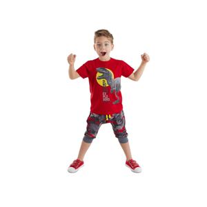 Denokids Dino Camouflage Boy's T-shirt Capri Shorts Set