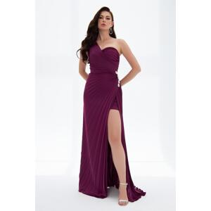 Carmen Plum Plisoley Single Sleeve Stone Slit Long Evening Dress