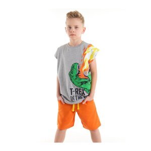 mshb&g T-rex Flame Boy's T-shirt Shorts Set